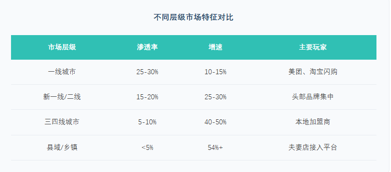 中国闪电仓模式县域市场增长数据 行业报告