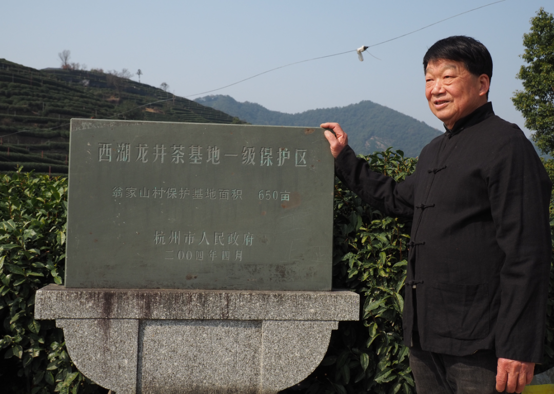 喝到这杯，才是真春天！来自西湖狮峰山的龙井，核心产区鲜爽馥郁，一口难忘  第11张