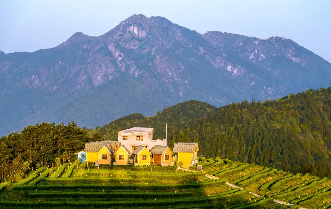 炎炎夏日怎么过?来江西崇义吧,这些主题线路中总"游"您所爱!