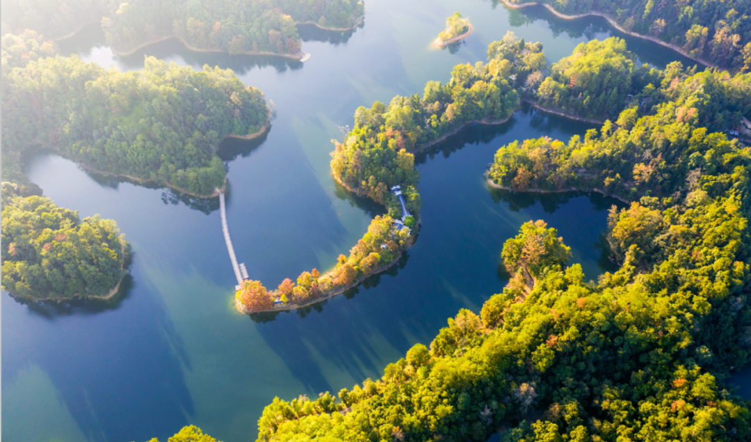 炎炎夏日怎么过?来江西崇义吧,这些主题线路中总"游"您所爱!