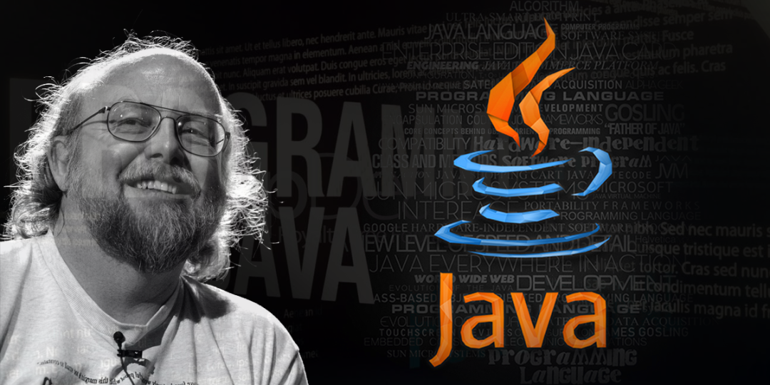 Java 传奇：一门编程语言如何改变互联网与世界