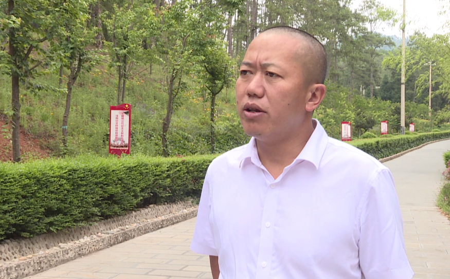 龙朋镇:守住绿水青山 换来金山银山_石屏县融媒体中心