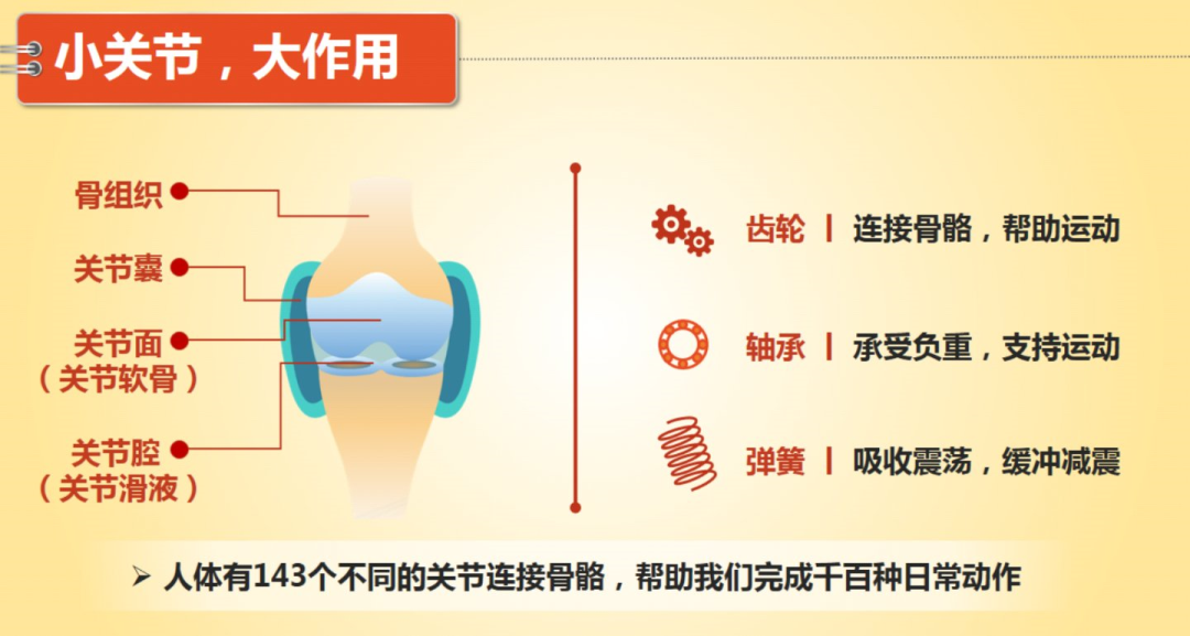立迈健怎么样腰痛、腿痛、关节酸痛不用怕........_https://www.jmylbn.com_新闻资讯_第3张
