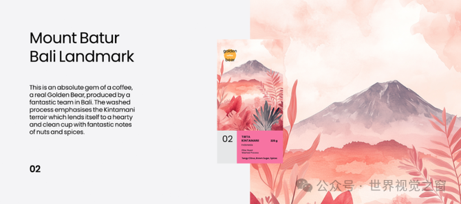 浪设计, 2025 年的 10 个平面设计趋势！！！