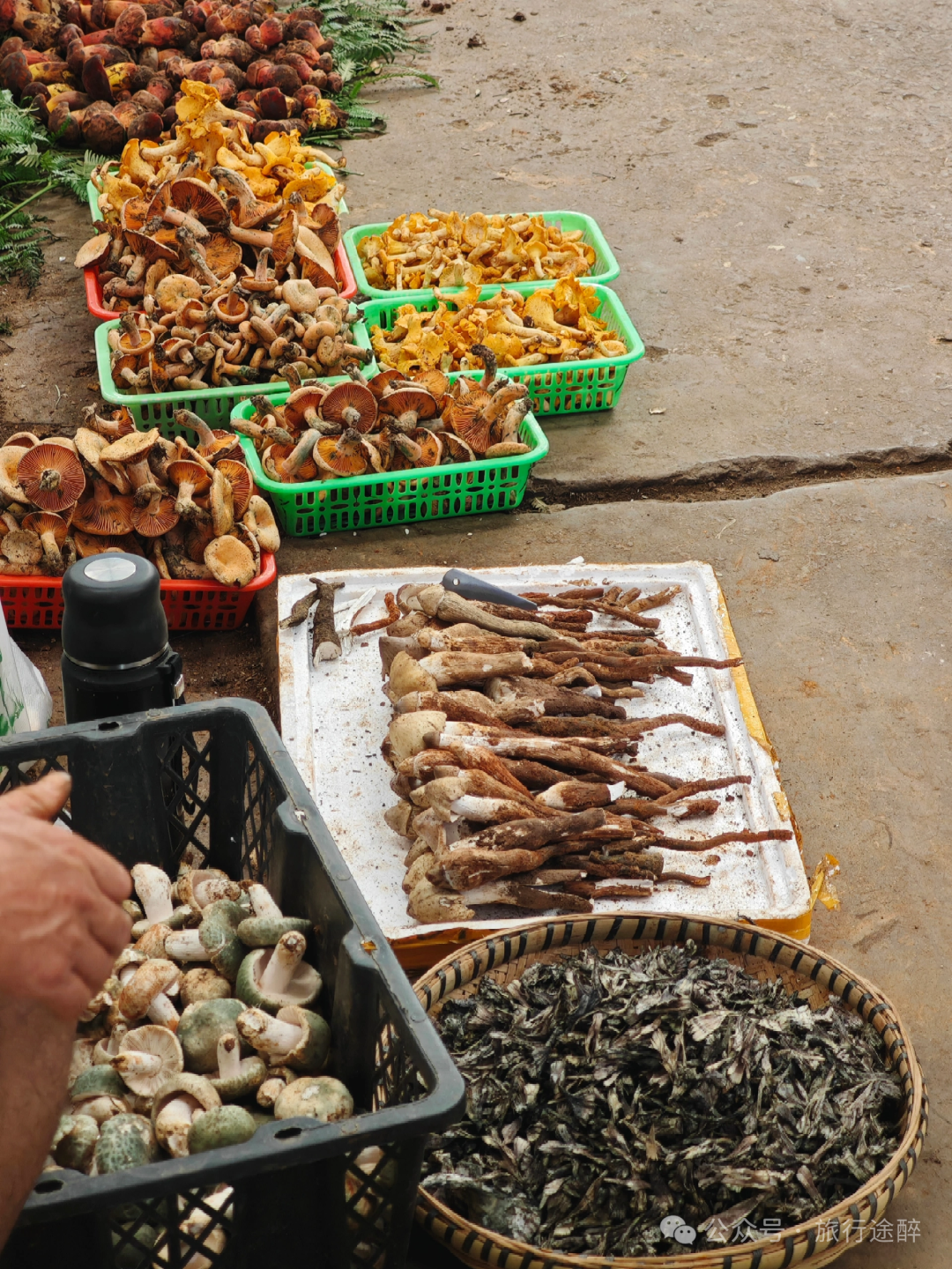 昆明市怎么样