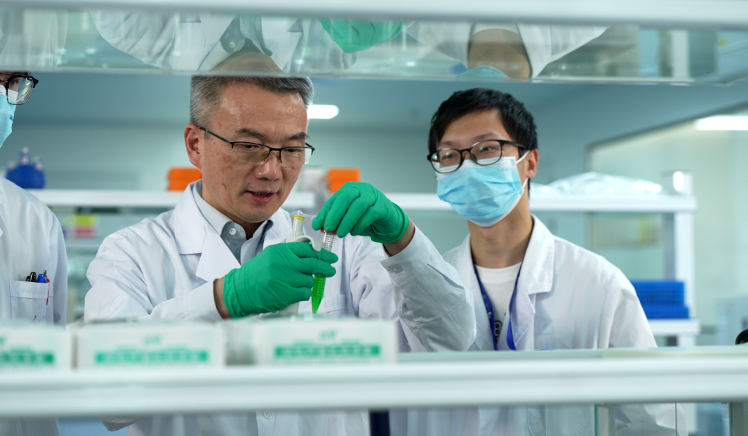 ▲李龙承在实验室工作 图/中美瑞康提供