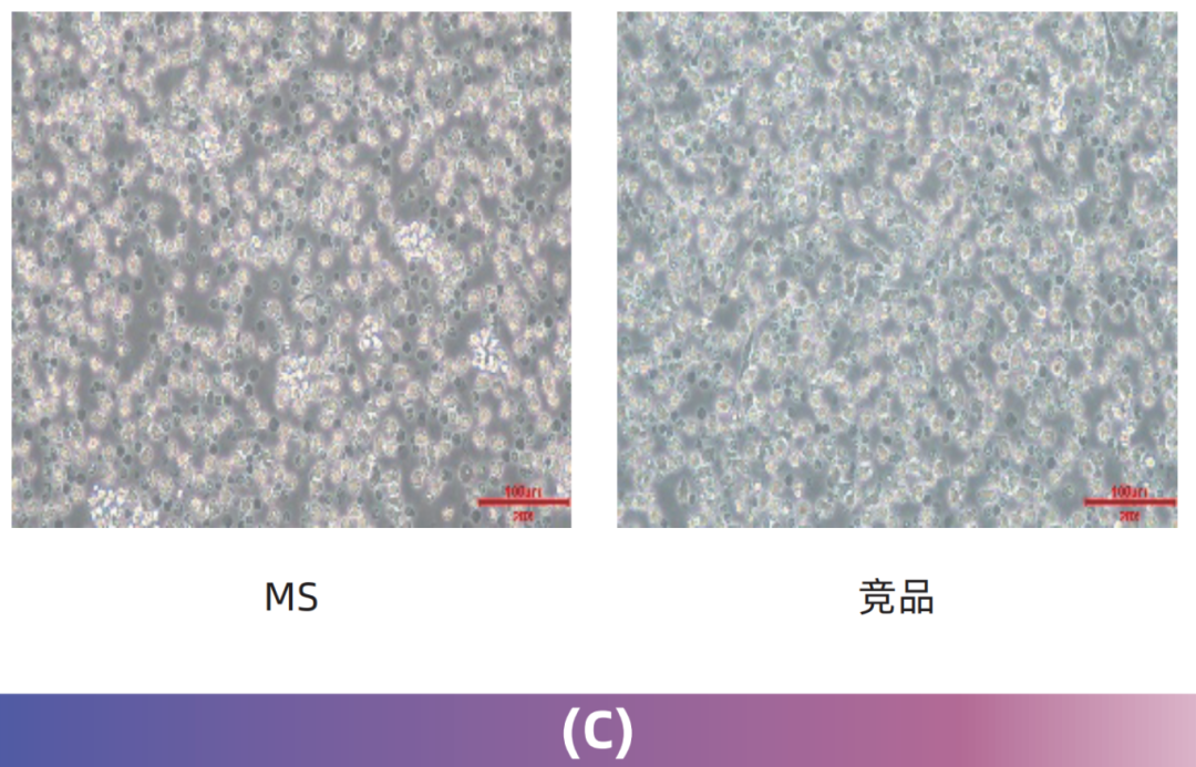 MileCell MagSep™ CD14 阳选磁珠(图5)