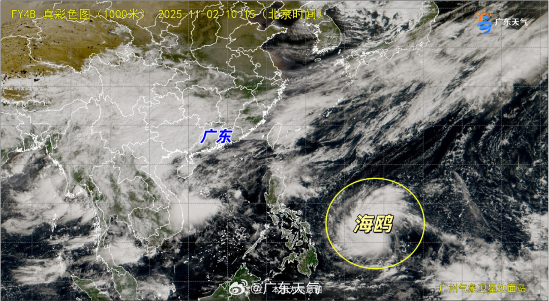 海鸥怎么呼吸台风+4波冷空气+4次降水！东莞接下来的天气..._https://www.jmylbn.com_新闻资讯_第5张