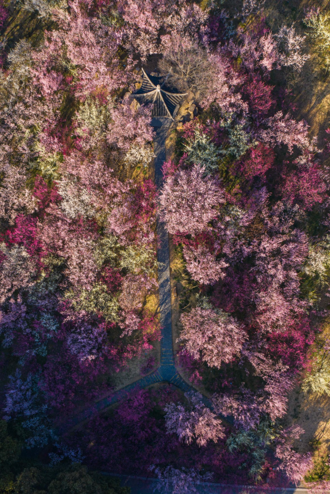 DJI_0983.JPG
