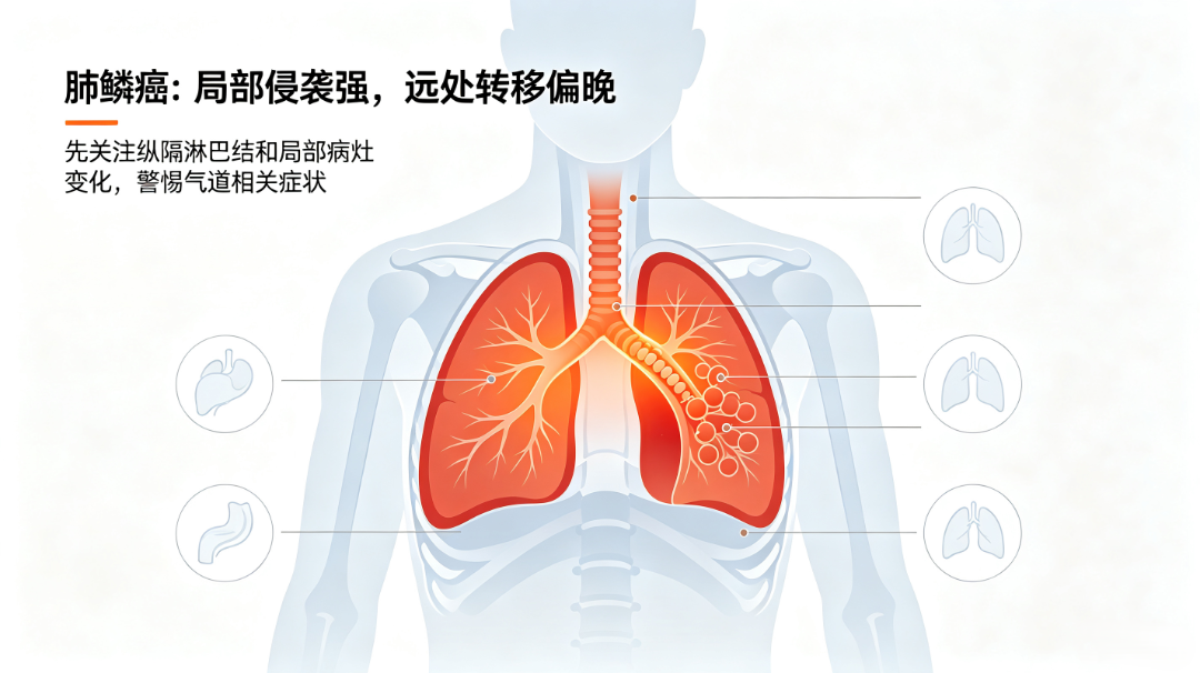 肺腺癌和肺鳞癌转移对比及趋势判断 (1).png