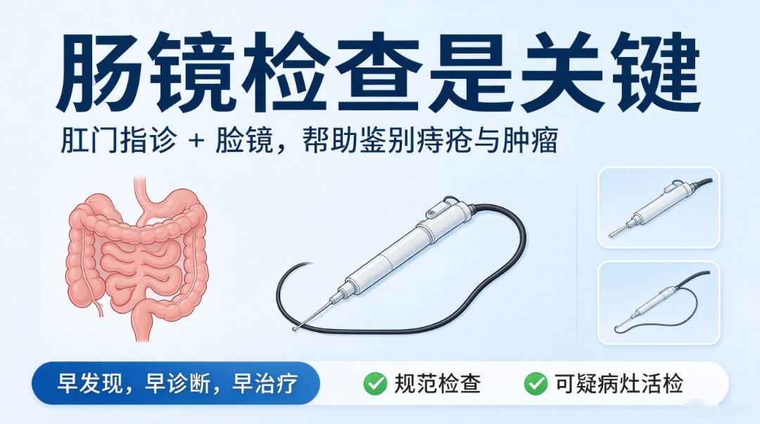 新对话 (4).png
