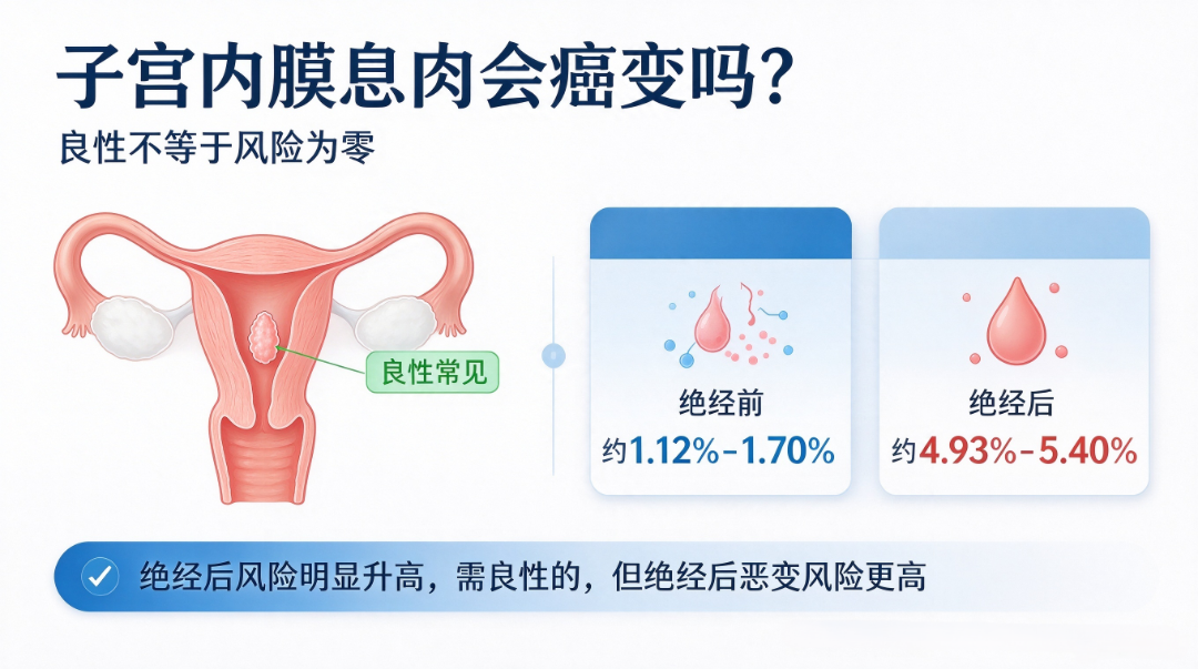 新对话 (5).png
