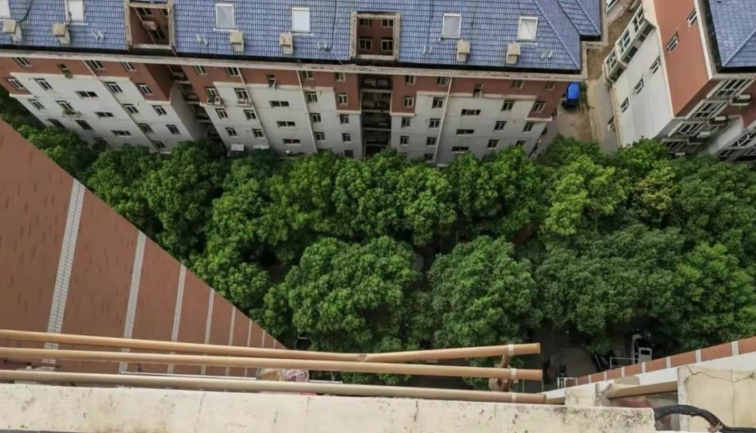 买房子可以选楼层吗_18楼的房子为什么不能买_房子可买可不买