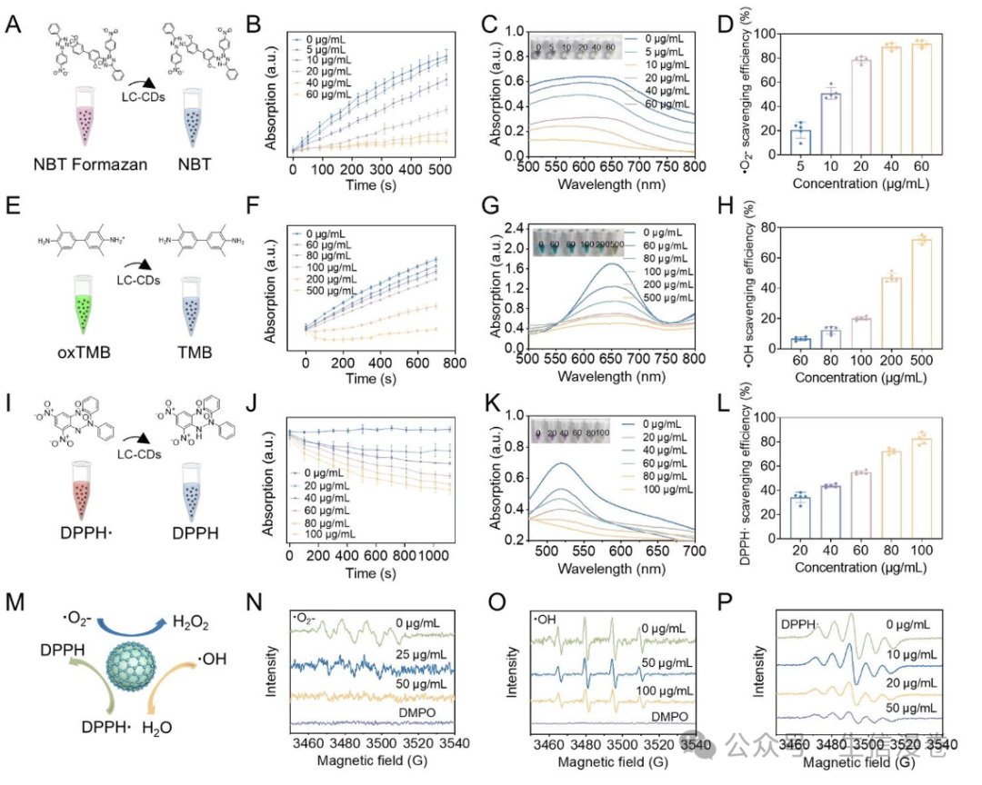 Screenshot 2025-06-11 at 16.35.03