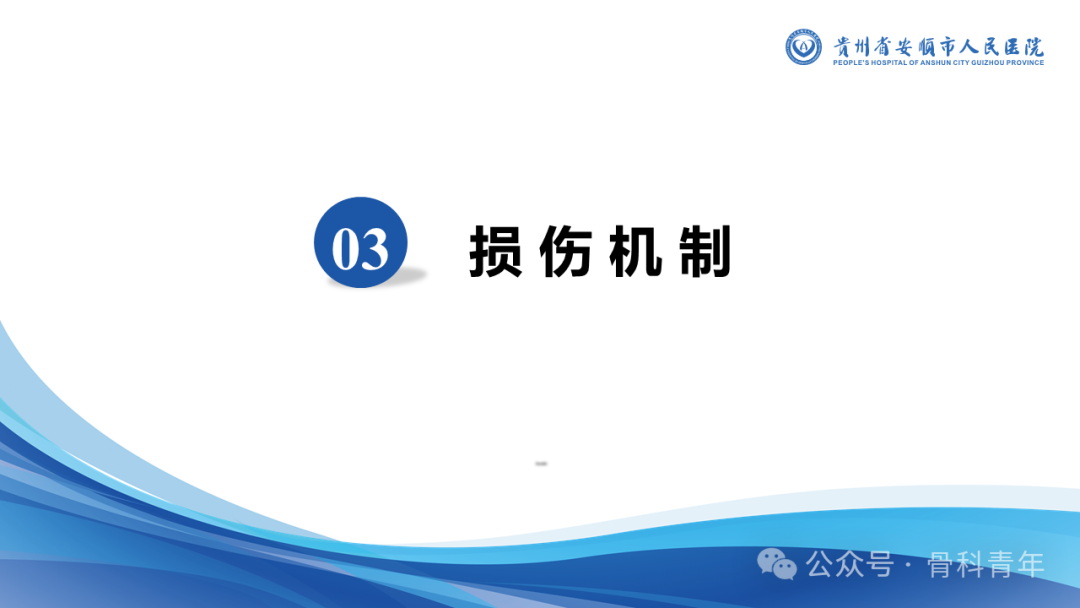 张-侯氏（Z-H）骨折的损伤机制、诊断与治疗