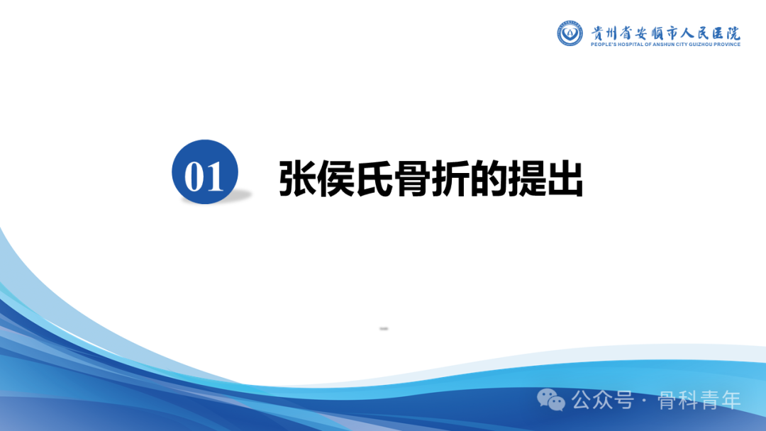 张-侯氏（Z-H）骨折的损伤机制、诊断与治疗