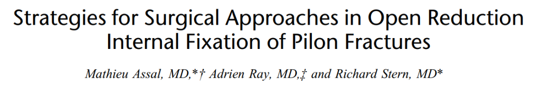 Pilon骨折手术入路环：7种手术入路解析