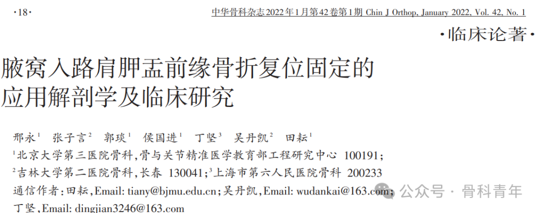 “腋窝入路”显露肩胛盂：解剖与手术技术