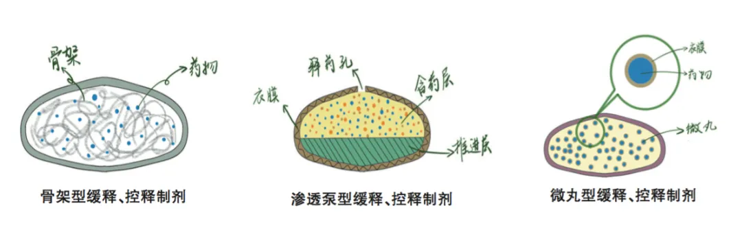 BE药片治什么作用健康科普丨原来药片掰开吃竟有这么多风险！你还敢乱掰吗？_https://www.jmylbn.com_新闻资讯_第6张