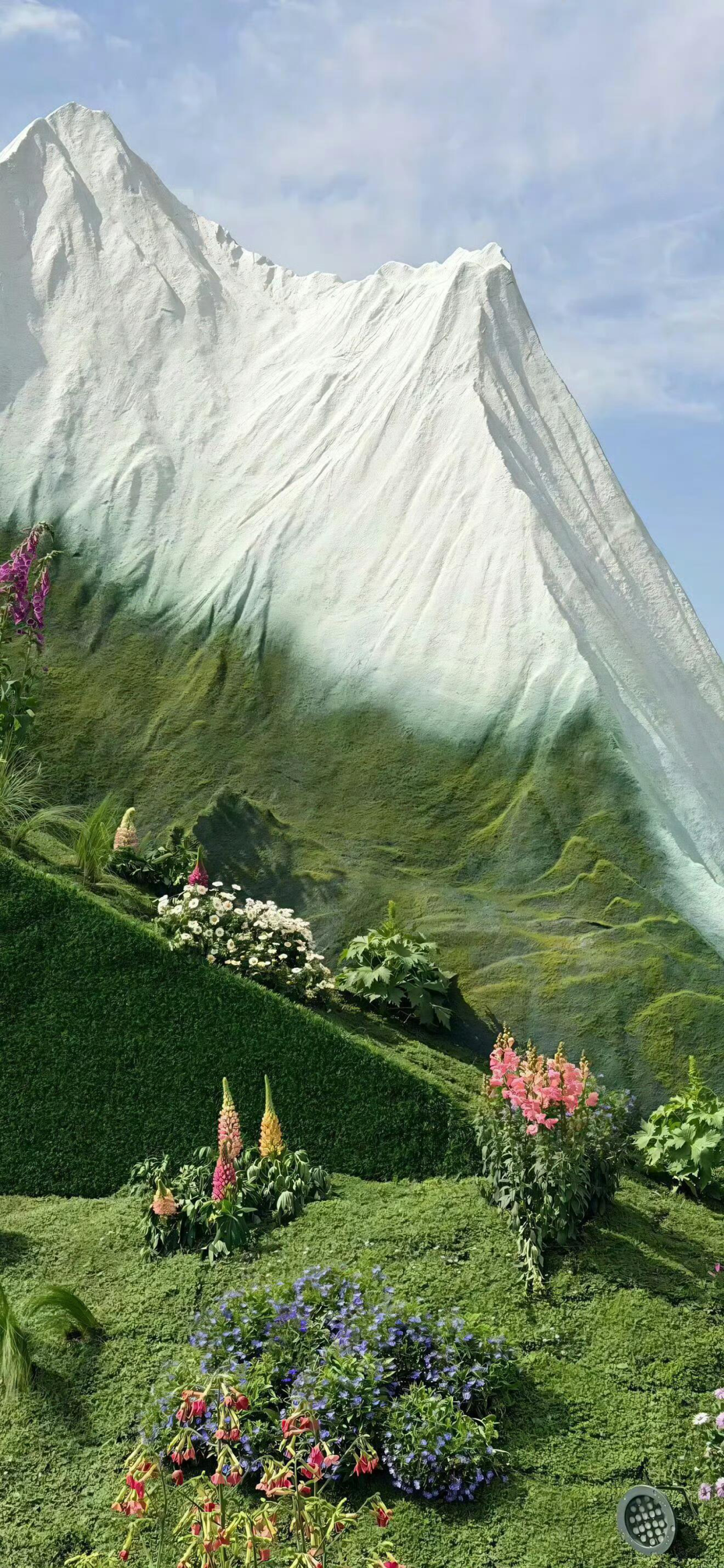 风景