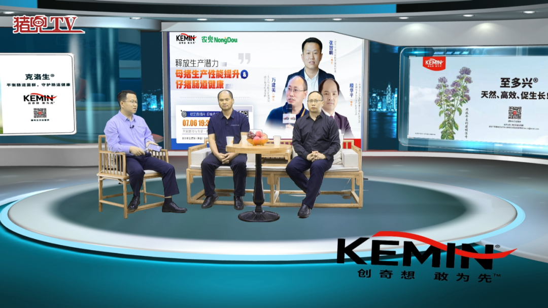 猪价连续上涨，在养殖黄金期如何最大化释放生产潜力，多赚钱、赚稳钱？