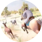 荒野狩猎模拟器