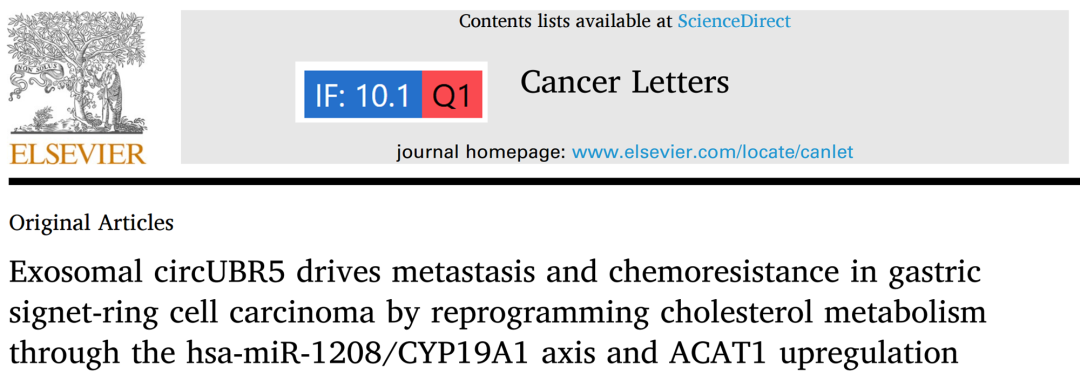 ACAT1蛋白、PSMD14蛋白结合的RNA是circUBR5-客户文献解析