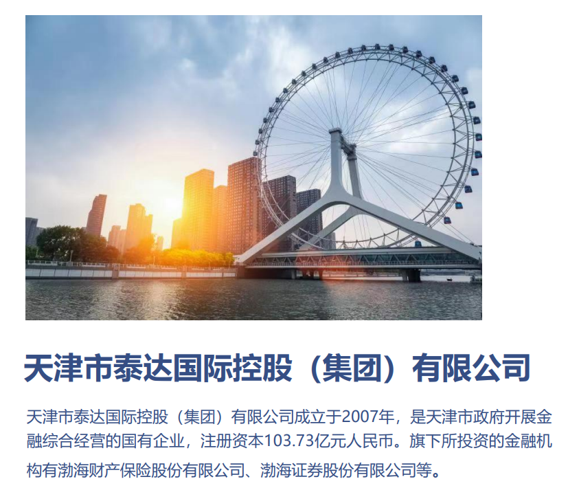 天津市泰达国际控股（集团）有限公司