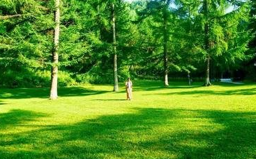 缺氧 医疗机怎么用【健康科普】生命的呼吸：走进吸氧治疗的奥秘_https://www.jmylbn.com_新闻资讯_第2张