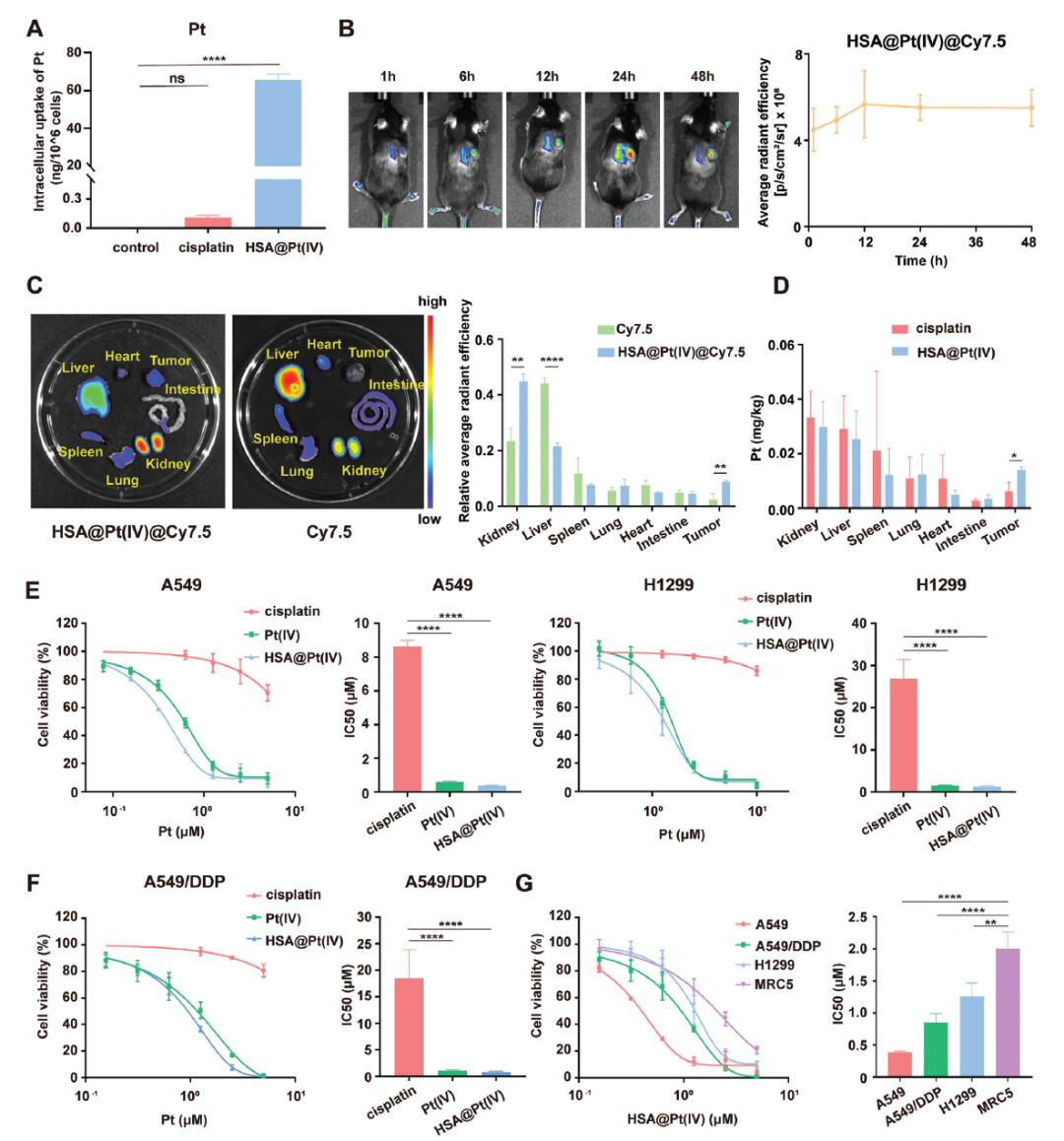 湘雅医院李向平团队发现可以抗非小细胞肺癌的新型纳米药物