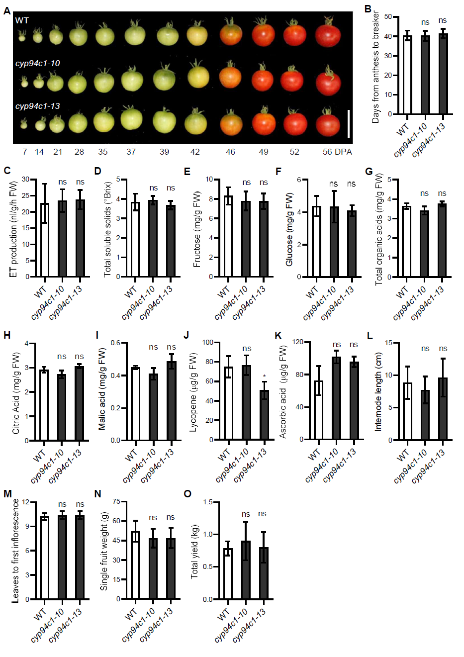 两者兼得中科院李传友团队揭示果实成熟后更容易腐烂的分子机理