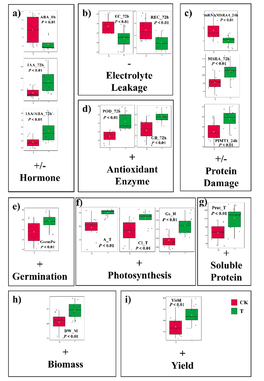 华南农业大学唐湘如团队发现超声波种子处理可提高种子的产量