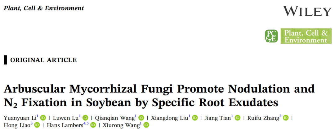 华南农业大学王秀荣团队发现丛枝菌根真菌通过诱导特定根系分泌物促进大豆结瘤固氮