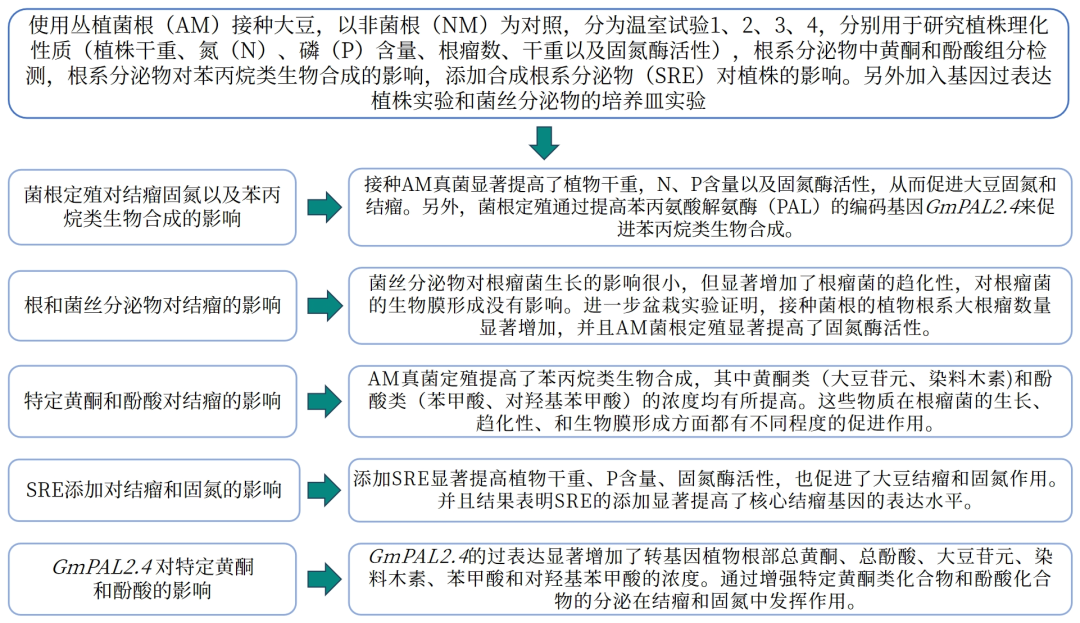 华南农业大学王秀荣团队发现丛枝菌根真菌通过诱导特定根系分泌物促进大豆结瘤固氮