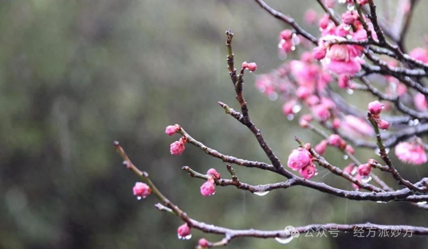 中医临床体会：提振阳气要少用六味地黄丸，多选附子理中丸