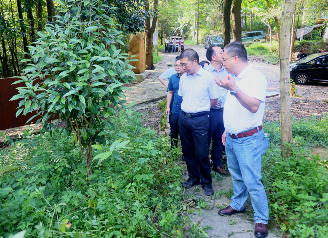 课题组在北岭山林场铁西工区珍贵树种基地开展实地调研

