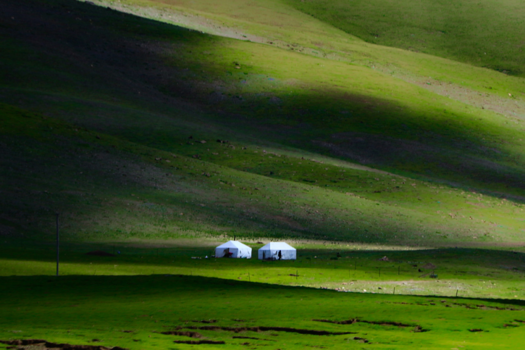 中国唯一门票全免的城市，藏着全国首个国家公园，每年只有2000人能进，比西藏更神秘