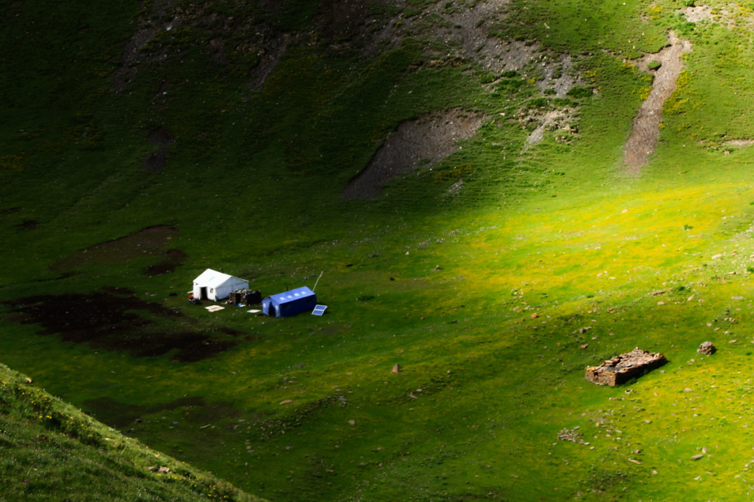 中国唯一门票全免的城市，藏着全国首个国家公园，每年只有2000人能进，比西藏更神秘