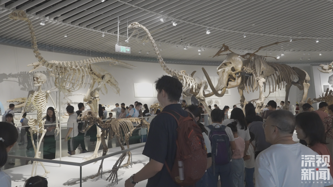 微信图片_2026-09-28_142518_746.png