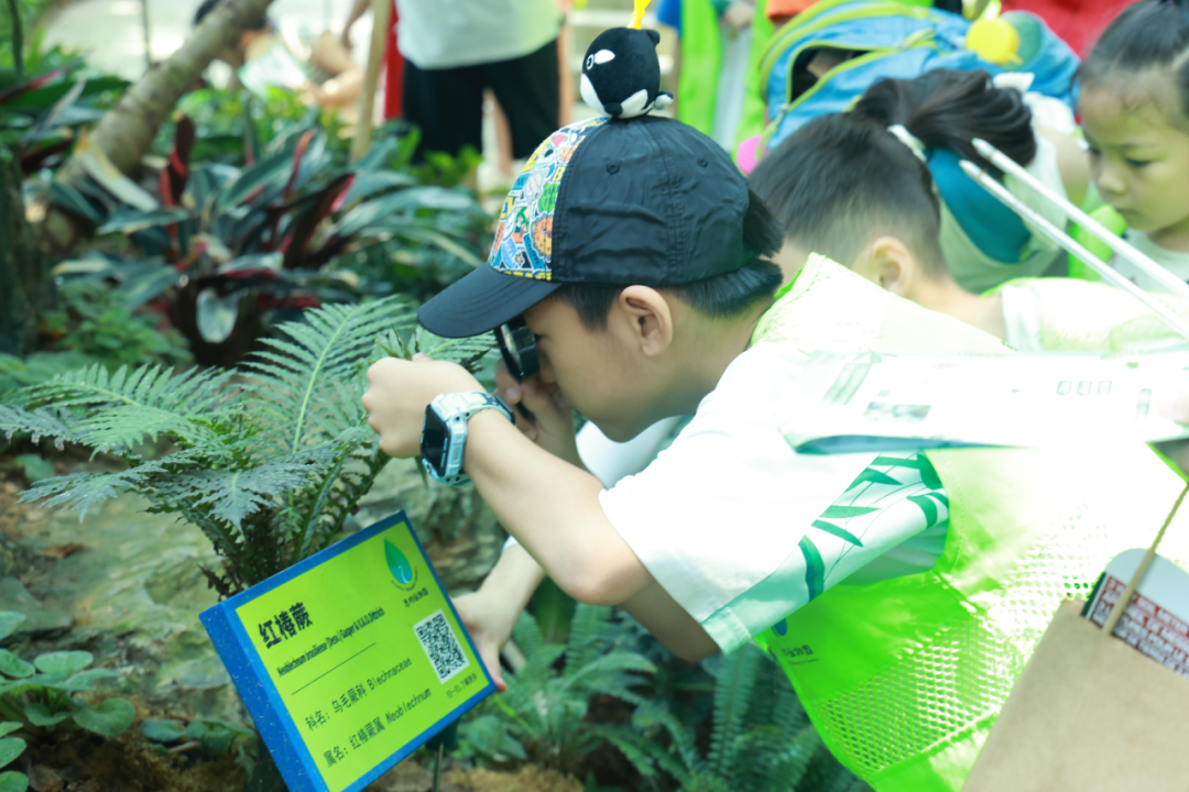 图源：惠州植物园