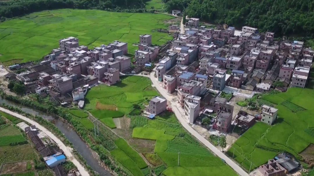 石咀镇全力助推乡村蝶变