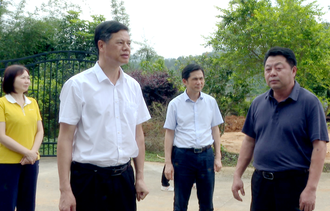 市人大常委会调研组到广宁开展代表工作调研