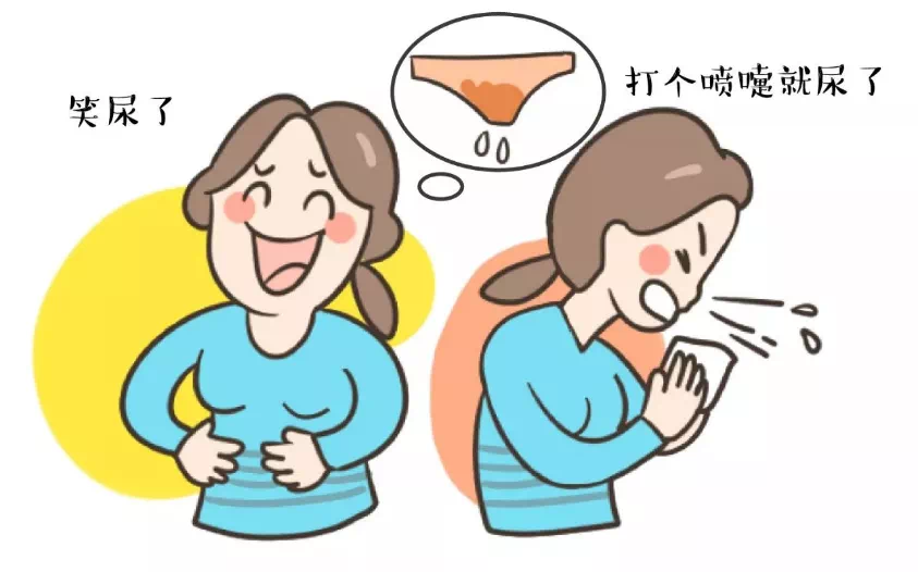 产后康复治疗仪怎么用【新设备】开展盆底康复治疗！陇西县二院引进盆底康复治疗仪_https://www.jmylbn.com_新闻资讯_第5张