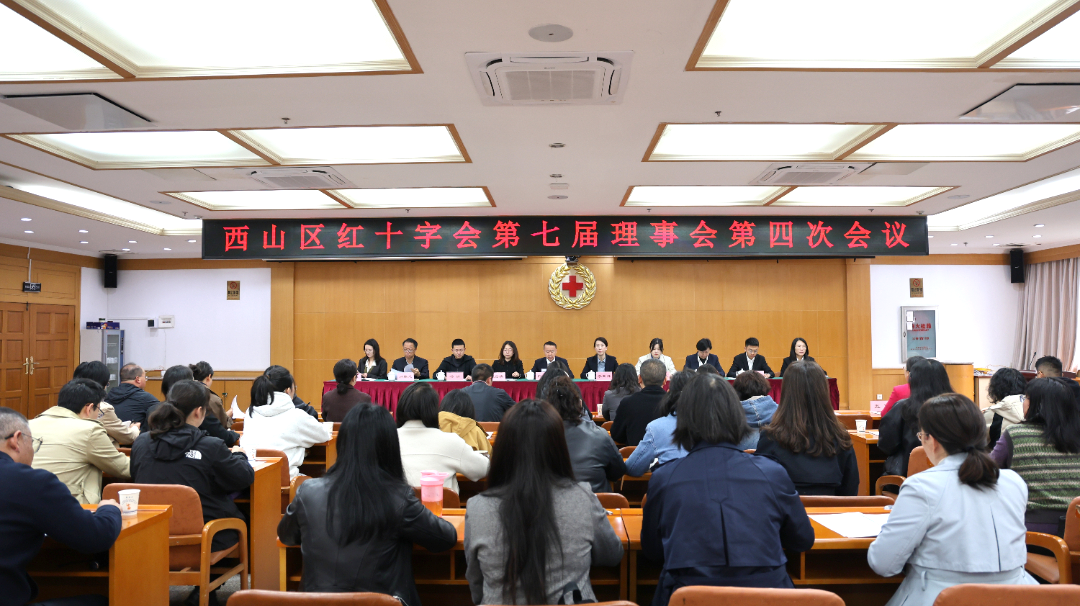2025年6月5日十二届区委常委会第 154 次会议（陈丽） (3).JPG