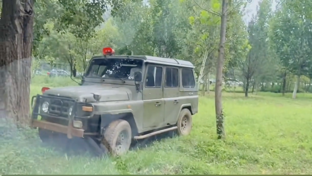 车辆追尾游客理论 猛兽区老虎围观