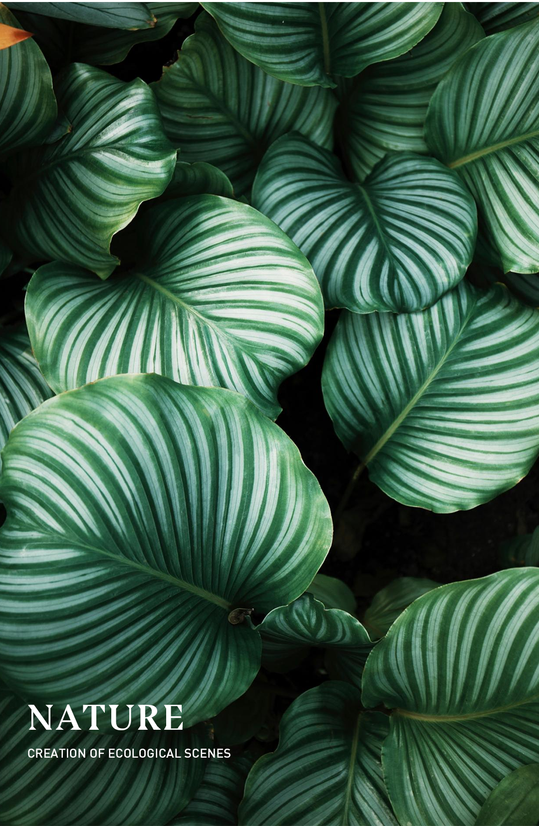 丁春亚城与市的有机融合复合型空间的多元创建