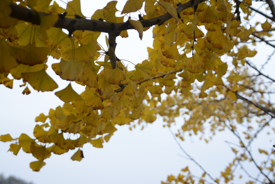 耿兵诗歌11首|请把我留在你的前世