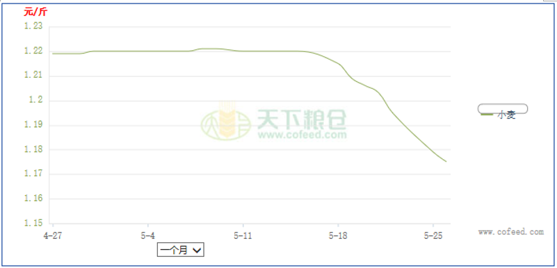 国内小麦价格走势_中国小麦价格走势图_小麦走势行情分析