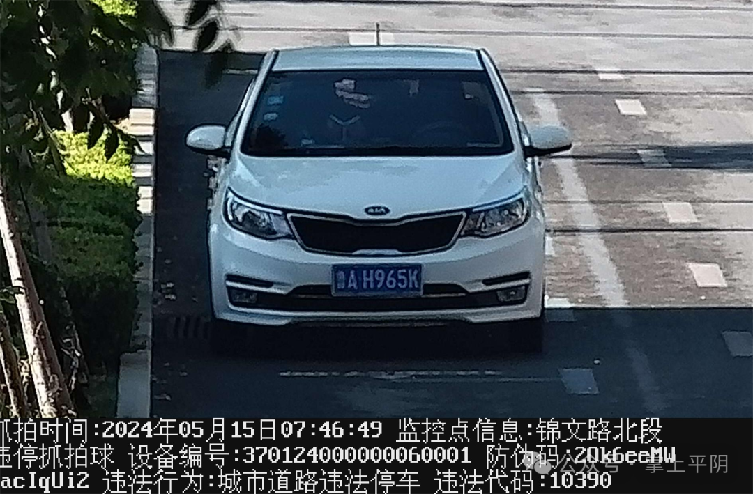 争创全国文明城市,平阴交通违法抓拍大曝光!