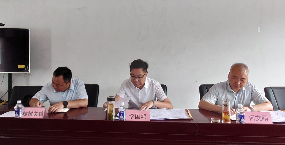 李国鸿主任到槐树关镇交办任务清单调研指导重点帮扶村巩固衔接示范村